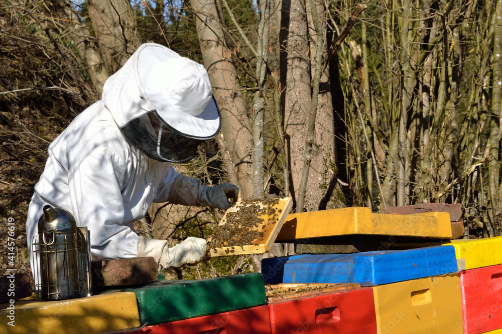Beekeepers Controlled Honeycomb Beekeepers Controlled Honeycomb