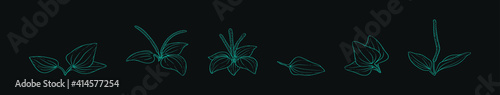 set of plantain herb cartoon icon design template with various models. vector illustration isolated on black background