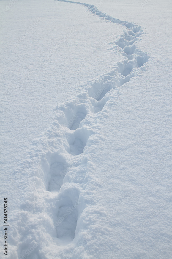 Steps In The Snow Steps In The Snow