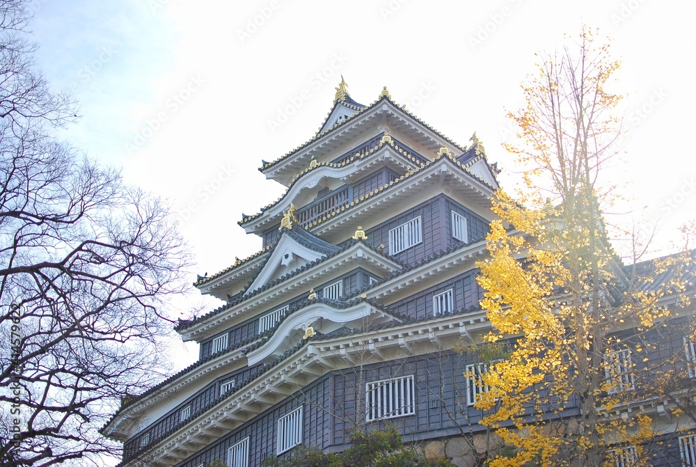 Okayama Castle also known as