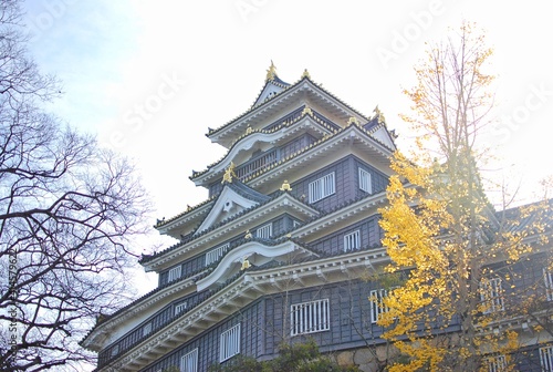 Obraz na płótnie Okayama Castle also known as