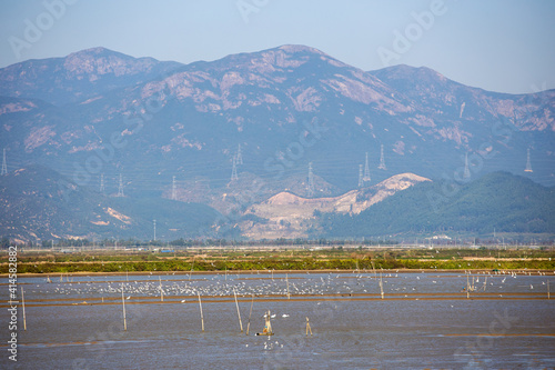 Wetland natural scenery of Yinhuwan Binhai New Area, Jiangmen City, Guangdong Province, China photo