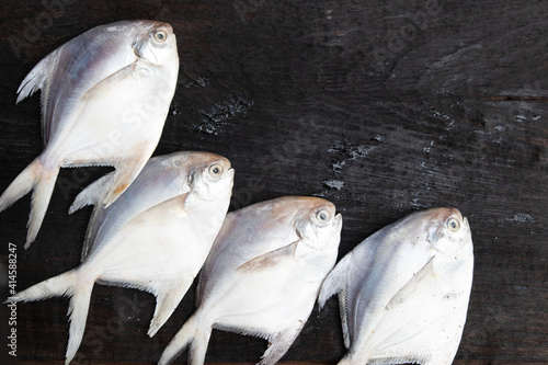 Fresh Silver pomfret on black wooden table with copy space photo