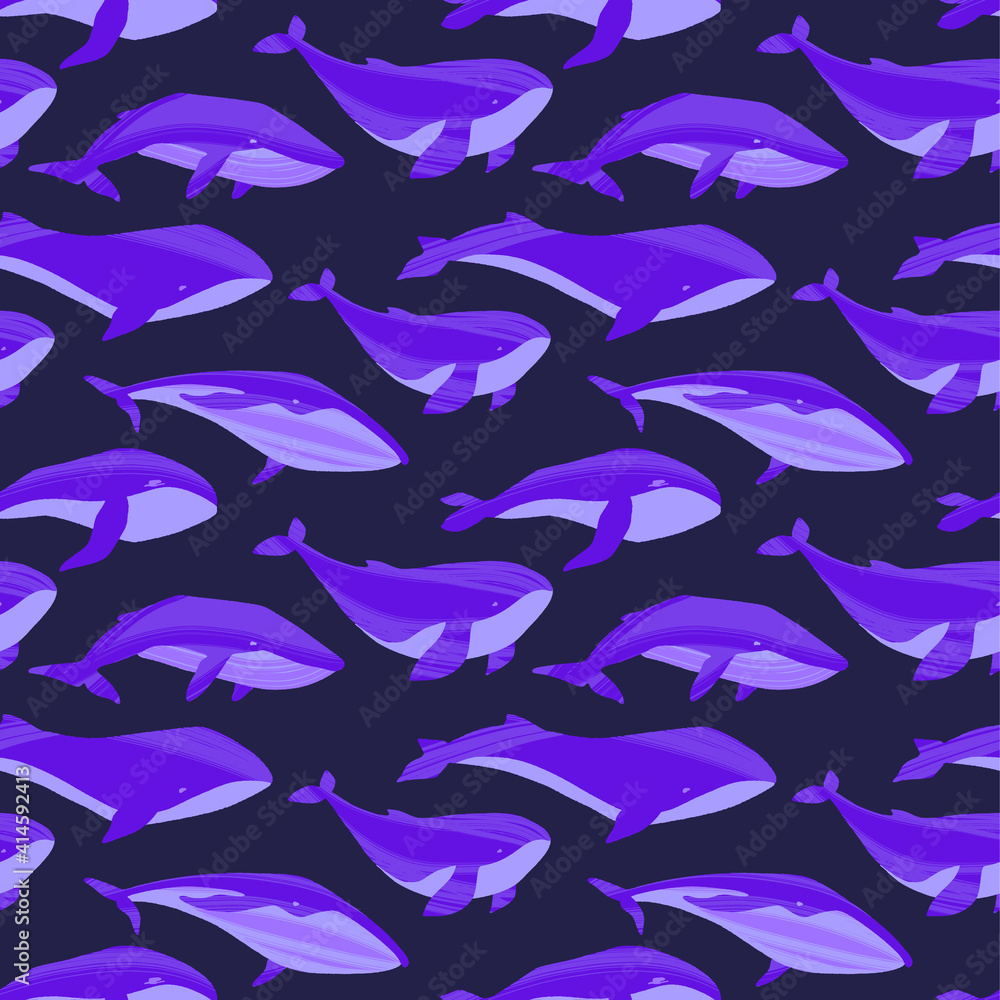 Obraz premium Repeated texture with hand drawn marine mammals: blue whale, white whale and sperm whale.