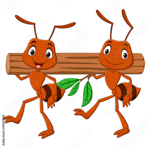 Team of ants carrying a log