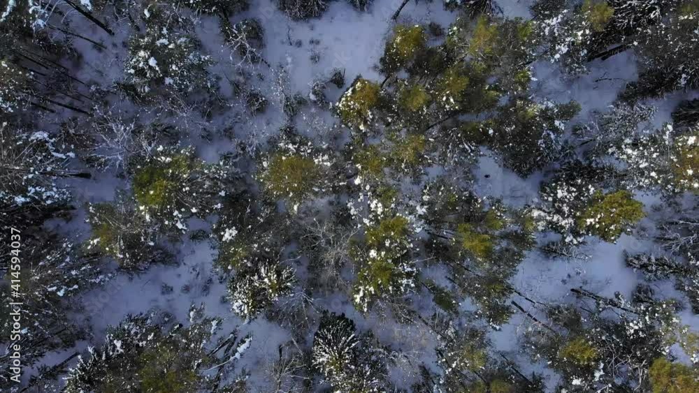 Aerial winter forest top down side move. Aerial winter forest top down side move.