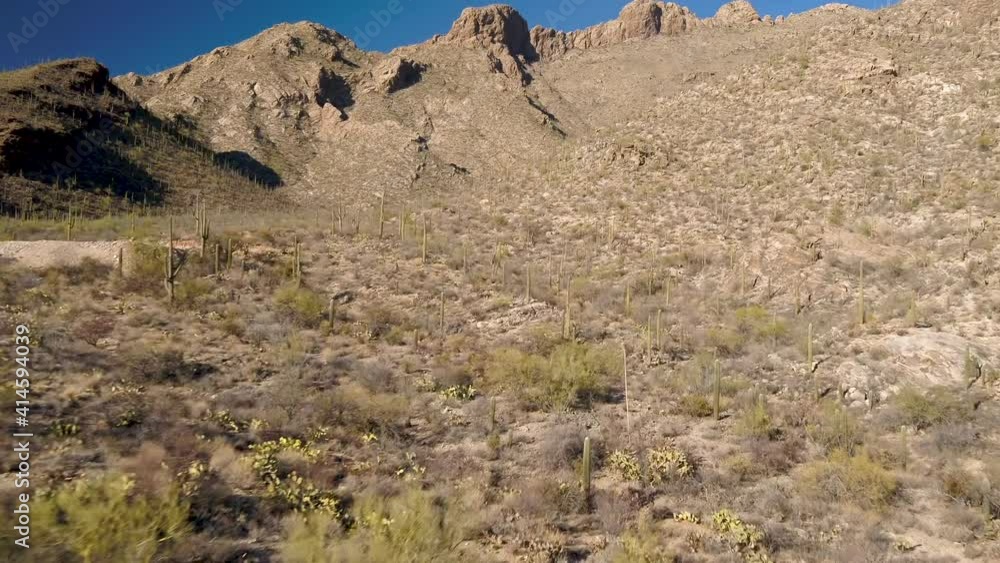 Cinematic drone shot of desert plants with mountains in background
