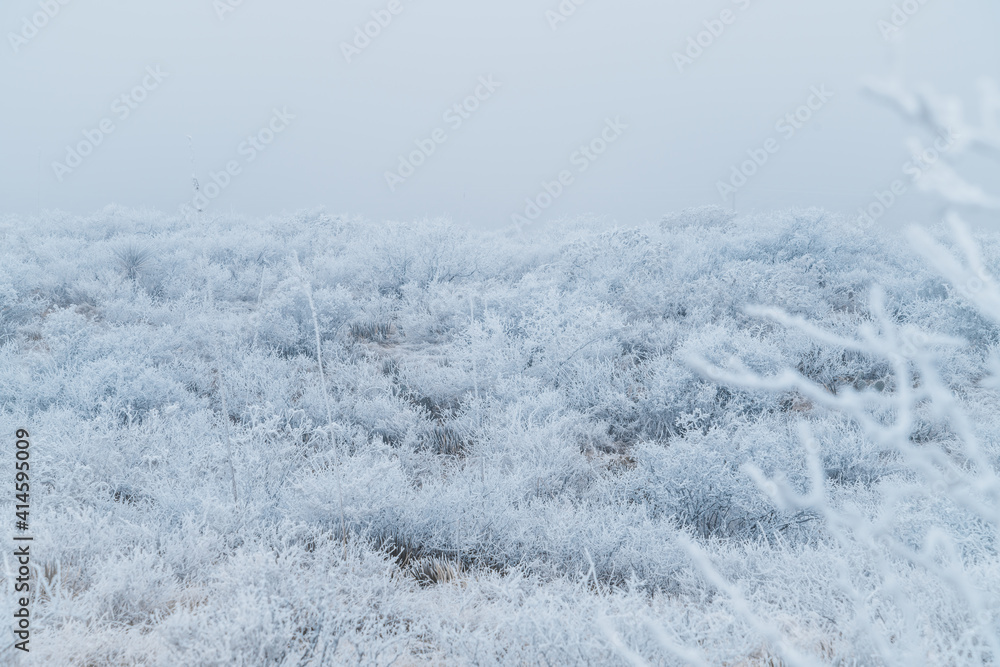 Winter in Big Bend National Park, Texas! Winter in Big Bend National Park, Texas!