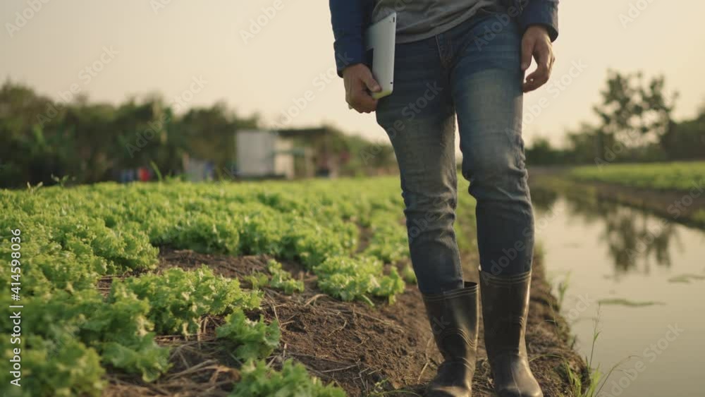 A farmer wearing boots is walking inside the farm. A farmer wearing boots is walking inside the farm.