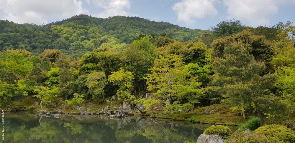 lake in the forest