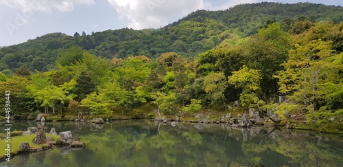 lake in the forest