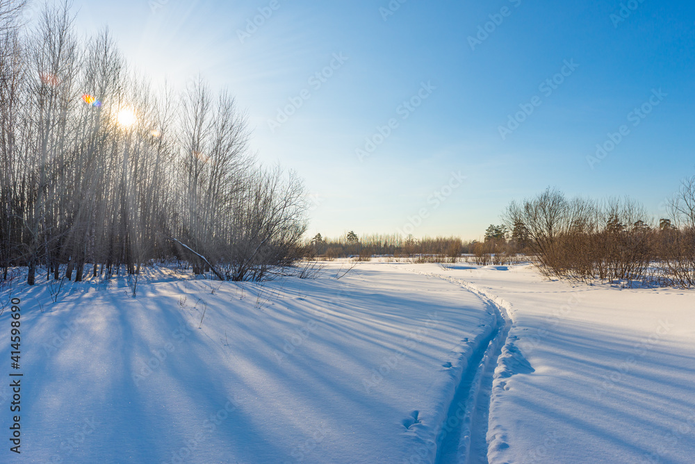 Obraz premium Ski track in the winter forest. Sun rays through the trees. Bright blue sky. Winter landscape