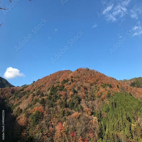 長野県阿南町の山奥の集落、和合の美しい紅葉の風景