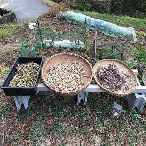 長野県阿南町の山の暮らしの風景