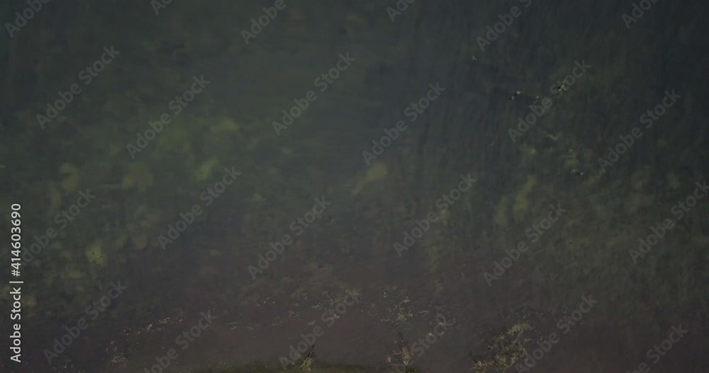 Serene Lake Near Meadow Landscape During Daytime At Trimbakeshwar In Western Ghats Of India. - Aerial Ascending Shot Serene Lake Near Meadow Landscape During Daytime At Trimbakeshwar In Western Ghats Of India. - Aerial Ascending Shot