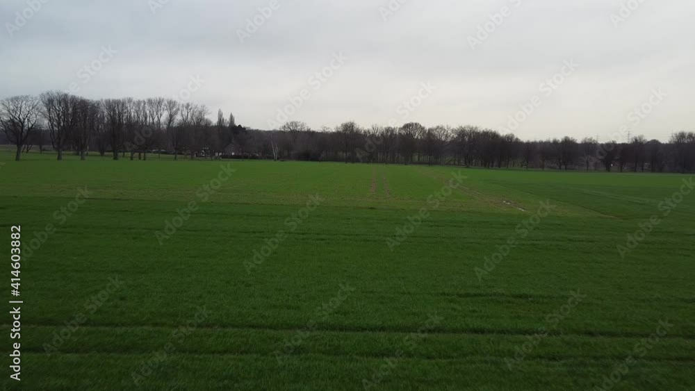 Drone bottom shot green field white sky and trees at the backround Drone bottom shot green field white sky and trees at the backround