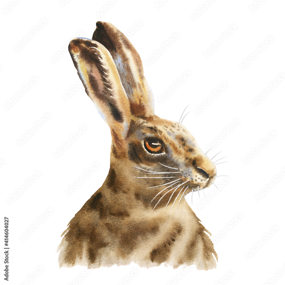 Watercolor bunny Illustration. Rabbit isolated on white background ...