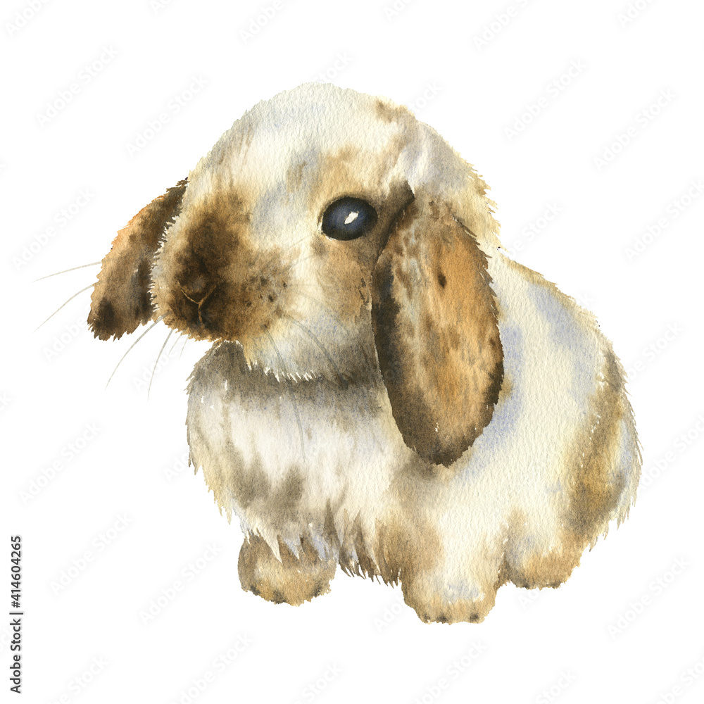 Watercolor bunny Illustration. Rabbit isolated on white background ...