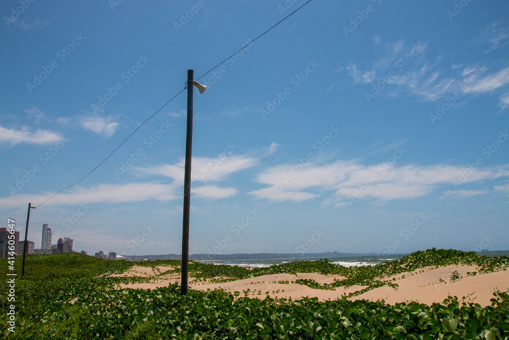 Dune Covered with Vegetation and Buildings in Background Dune Covered with Vegetation and Buildings in Background
