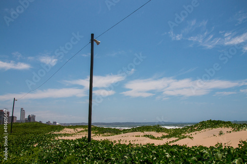 Dune Covered with Vegetation and Buildings in Background