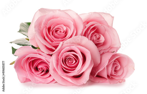 Beautiful pink roses on white background
