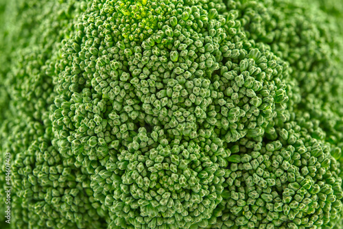 Close up of a head of fresh broccoli