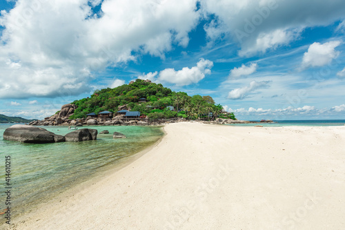 beach with trees in the mountain
