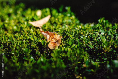 Two gold wedding rings are on a yellow leaf, on a green background. Close-up. Place for text.