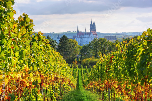 Blick über herbstliche Weinberge auf die Stadt Meissen in Sachsen, Deutschland - view over autumn vineyards to the city of Meissen in Saxony