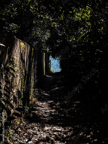 Obraz na płótnie
Pleasant view of the coast of Lake Garda. A romantic walk in the town of Garda which gives its name to the lake during a sunny day.
w salonie