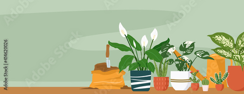 Illustration of different indoor houseplants with copy space