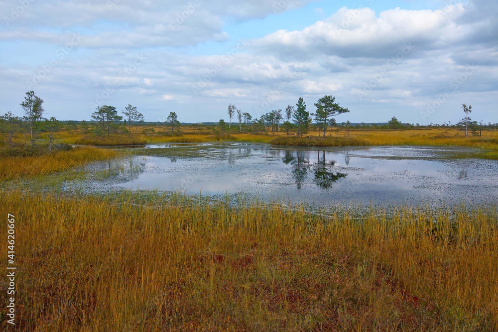 Scenic view of a small lake surrounded by swamps in autumn. Scenic view of a small lake surrounded by swamps in autumn.