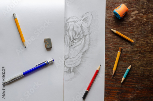 Monochrome Drawing of a tiger made by a pencil on a white sheet of paper. photo