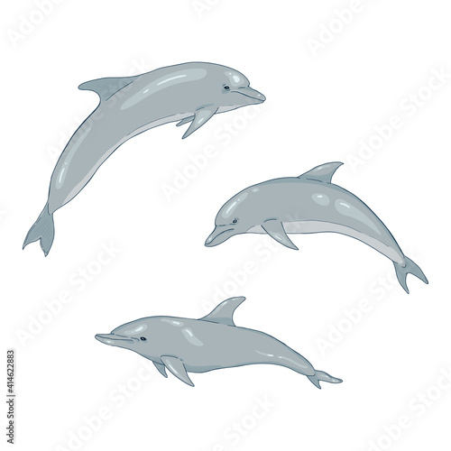 Vector Set of Cartoon Dolphins