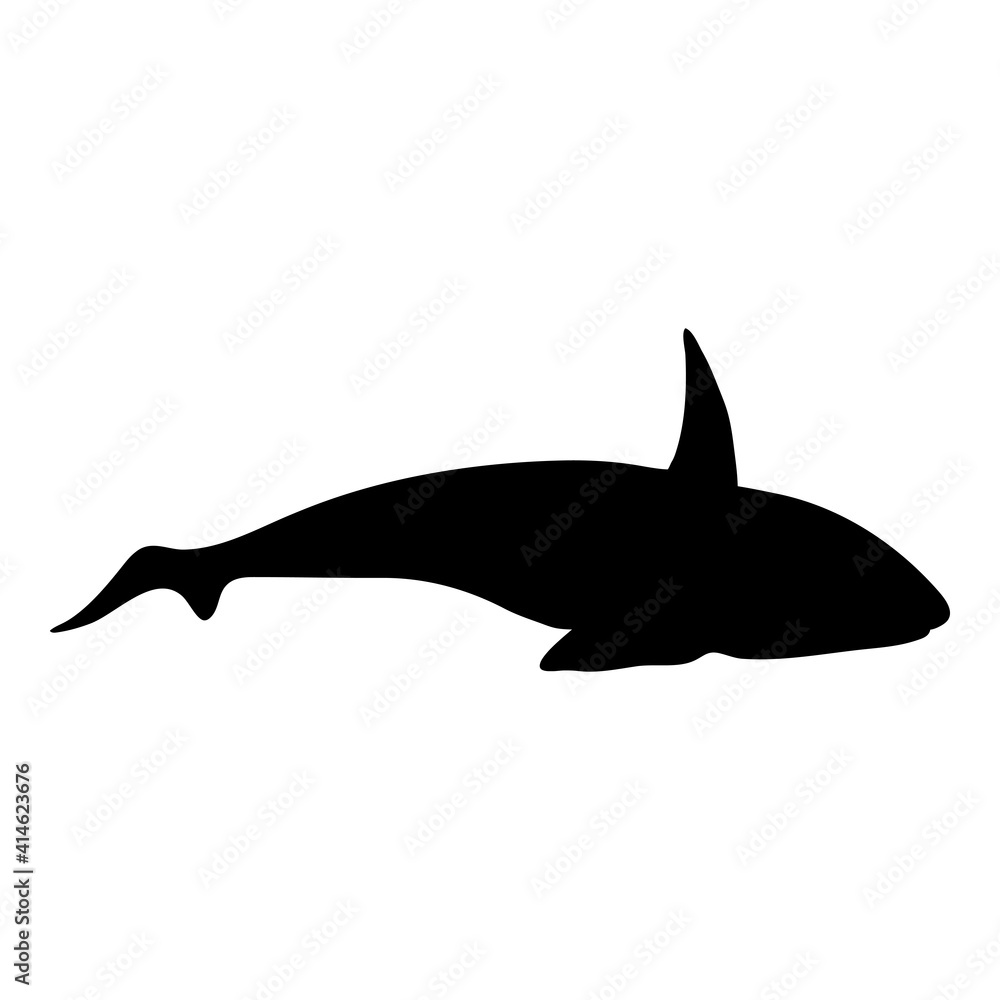 Vector Silhouette Orca. Killer Whale Illustration. Vector Silhouette Orca. Killer Whale Illustration.