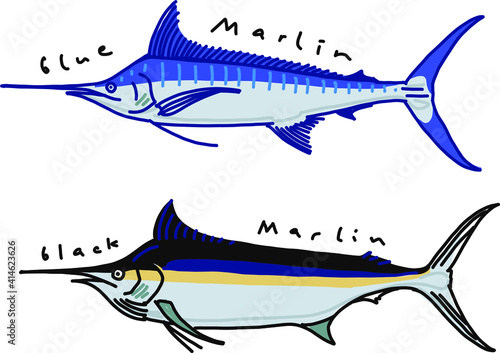 illustration of a blue and black Marlin fish