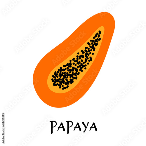 Vector illustration of ripe papaya in hand drawn flat style.