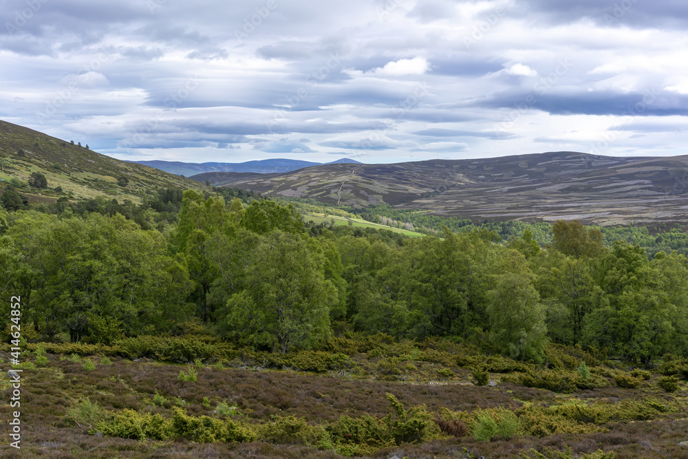 Naklejka premium Beautiful scenery along the way from Inverness to Aviemore , Scotland