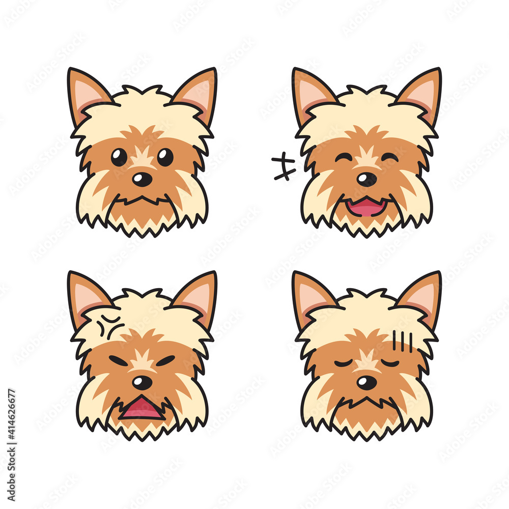 Set of character yorkshire terrier dog faces showing different emotions for design.