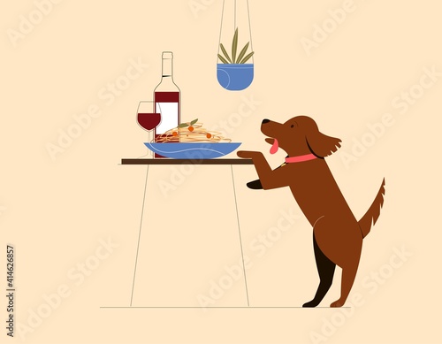 Cute dog trying to steal food, pasta, from the table. Vector flat modern illustration