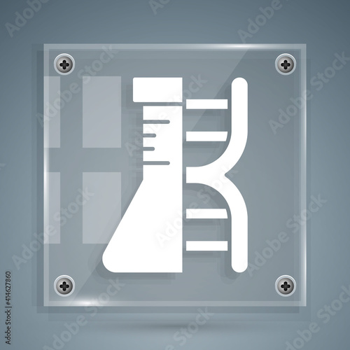 White DNA research, search icon isolated on grey background. Genetic engineering, genetics testing, cloning, paternity testing. Square glass panels. Vector.