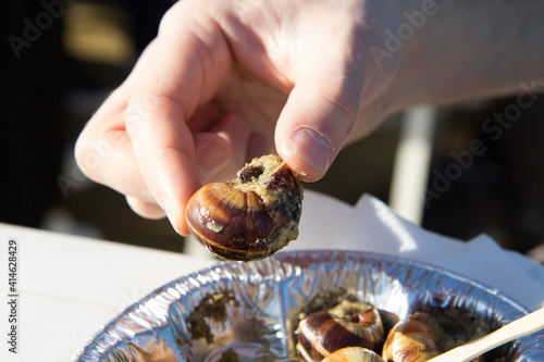 The man's hand holds one snail against the background of a plate with the rest of the snails in garlic sauce.