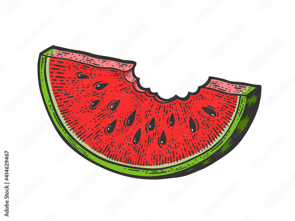 bitten slice of watermelon color sketch engraving vector illustration ...