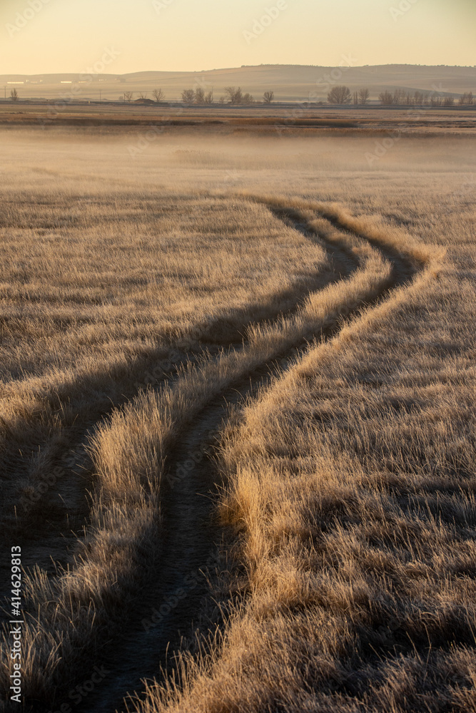 camino hacia la Laguna de Gallocanta