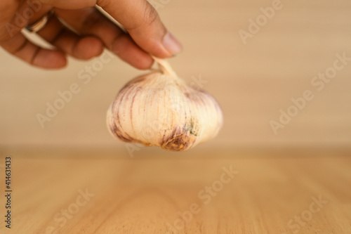 hand pick up whole white garlic on wooden floor background