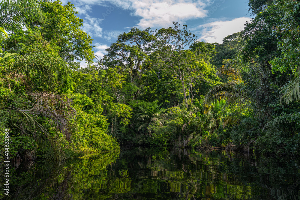 Canal in the national park of Tortuguero with its tropical rainforest along the Caribbean Coast of Costa Rica, Central America.