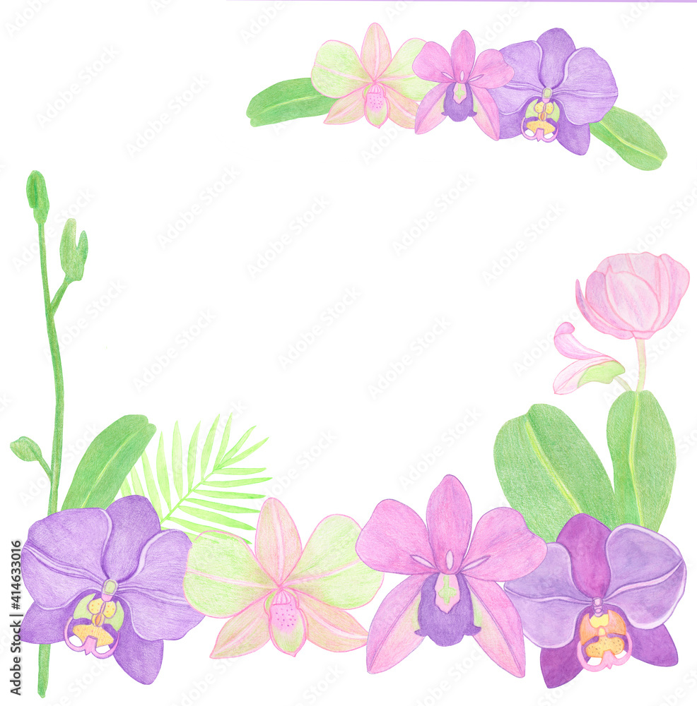 Watercolor frame border orchid elements with flowers and leaves