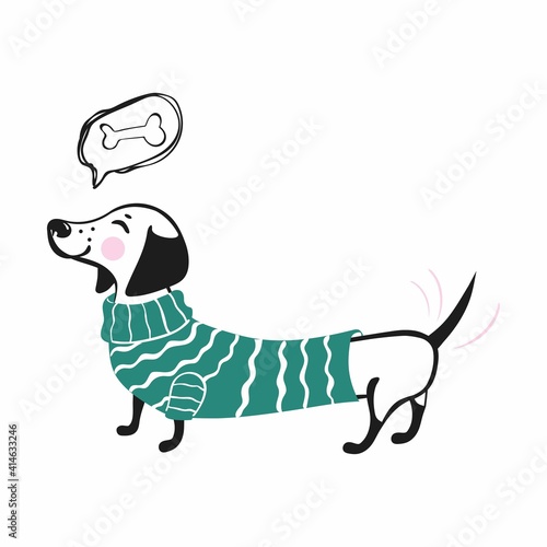 Vector illustration of a dachshund dog in a sweater dreams of an appetizing bone. Cute dachshund dog isolated on white background.