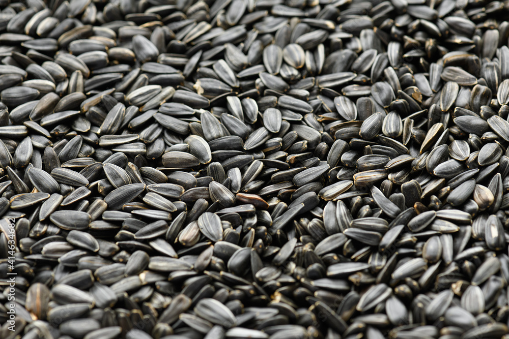 sunflower seeds background, closeup of roasted seeds sunflower seeds background, closeup of roasted seeds