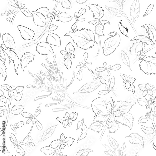 Seamless Pattern with the Five Culinary Herbals
